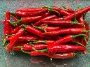 Seed Pepper Hot Chilli 0.25g MFG2222
