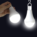 Emergency Light Bulb W/Base 9W