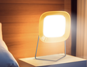 Solar Sunflare Light SF-501