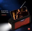 Solar NV Speaker Hdl NV-8969