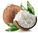 Coconut Scraper Machine ELEC 240V