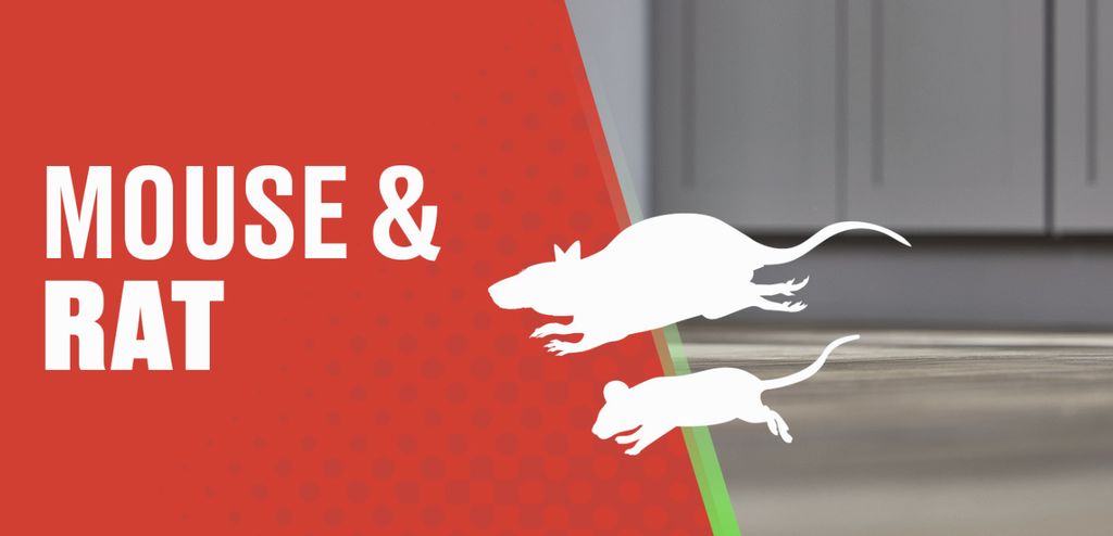 Rat Trap Glue Tin Tomcat 300g