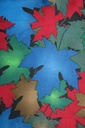 FB Printed Satin Velvet 44" 1769