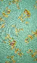 FB Wool Peach: Design #203702