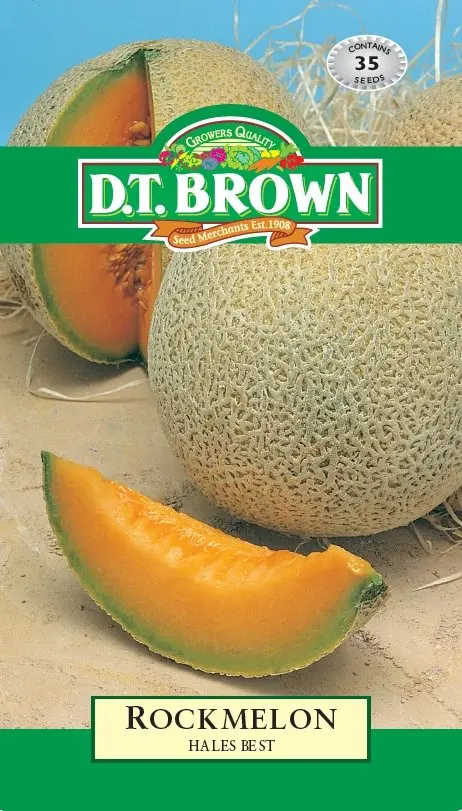 dt-brown-rockmelon-hales-best-511514.webp