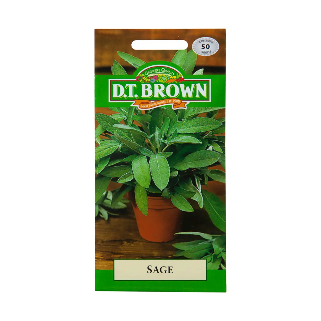 Seed Mr Fothergill Sage 0.55g #2715