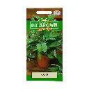 Seed Mr Fothergill Sage 0.55g #2715