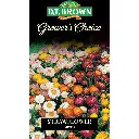 Seed Mr Fothergill Strawflower Mixed 0.224g #2351
