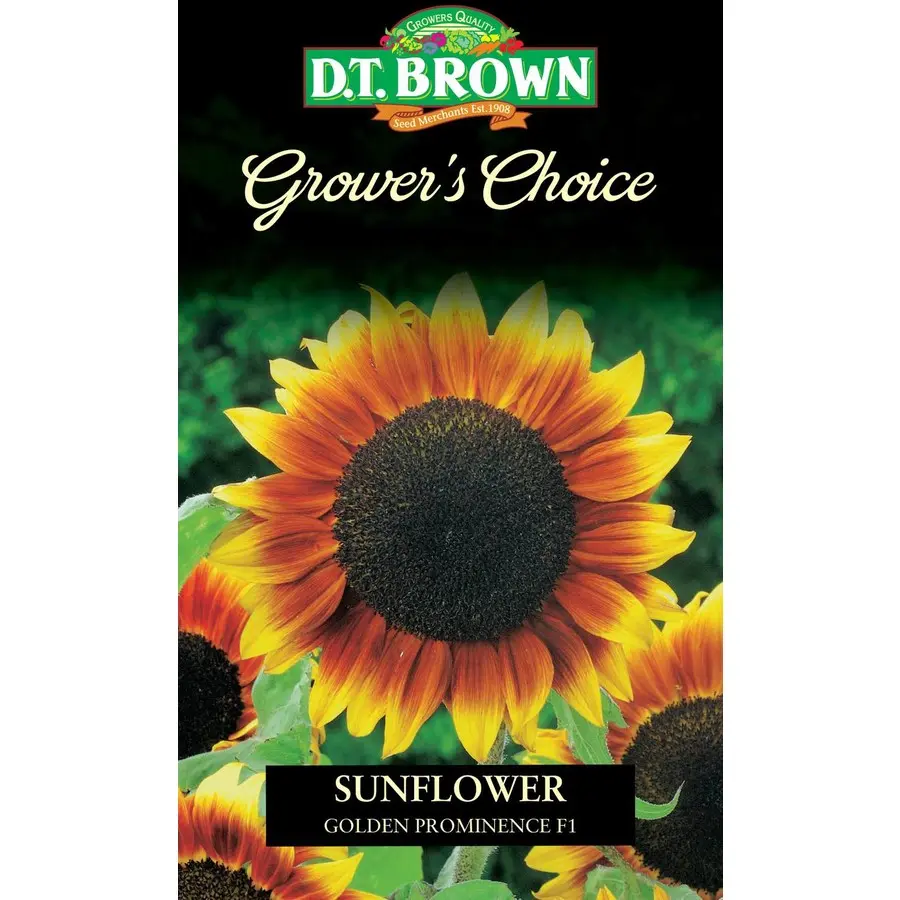 Seed Mr Fothergill Sunflower Gold Prominence 2g #2353