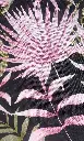 FB Printed Satin Velvet: Design #90804