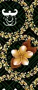 Fabric Printed Peach Skin: Design #5516