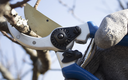 Jacto Prunner  PM-20 8.5"