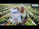 PNGs No.1 selling fertiliser