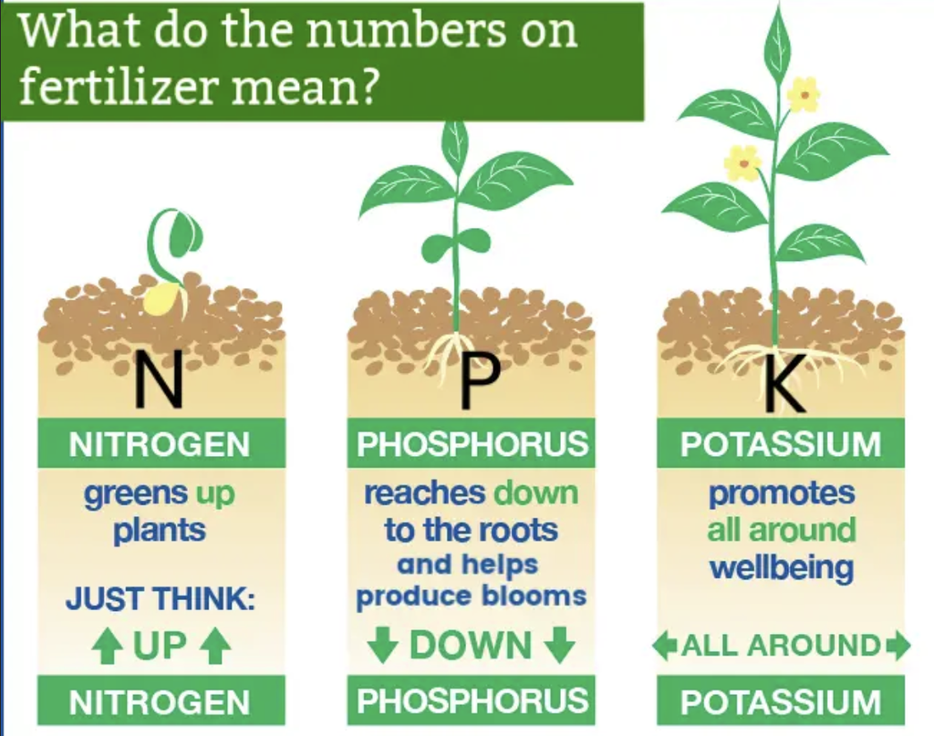 NPK 10.25.12+2.5% Pot Mix 40kg