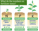 NPK 10.25.12+2.5% Pot Mix 40kg