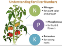 NPK 12.12.17+2 Vegemix 40kg