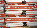 Fishmeal 25kg