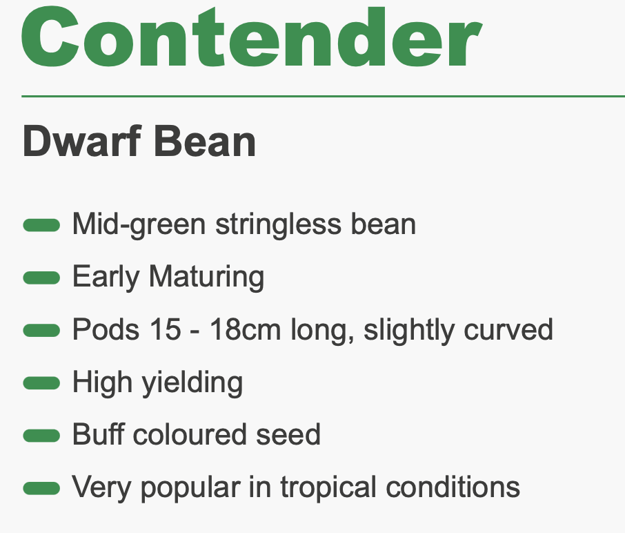 Seed Bean Contender 800g Terranova