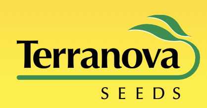 Seed Bean Contender 800g Terranova