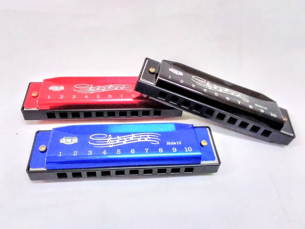 Music Harmonica 10 Hole w/case BLK2850-4