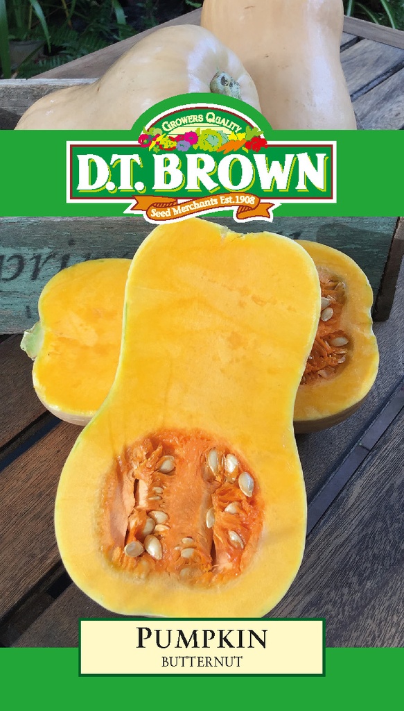 Seed Pumkin Butternut 2.825g MFG2233