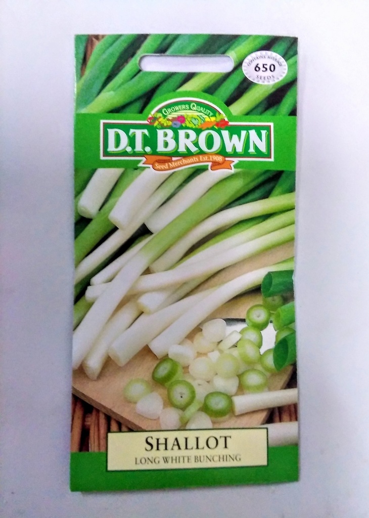 Seed Shallot Longwht Bunching 2.479g MFG2073