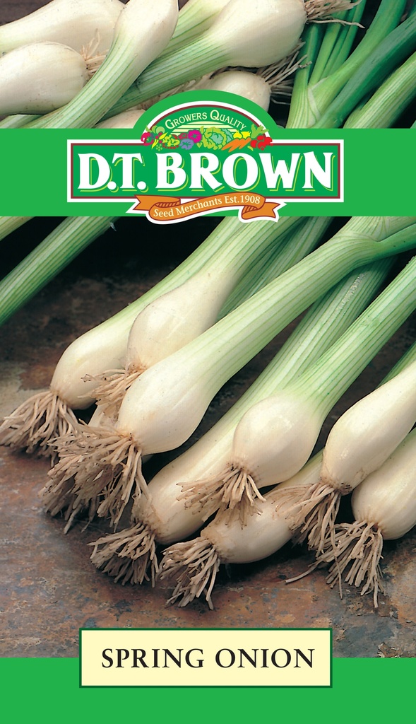 Seed Onion Spring 2.435g MFG2228