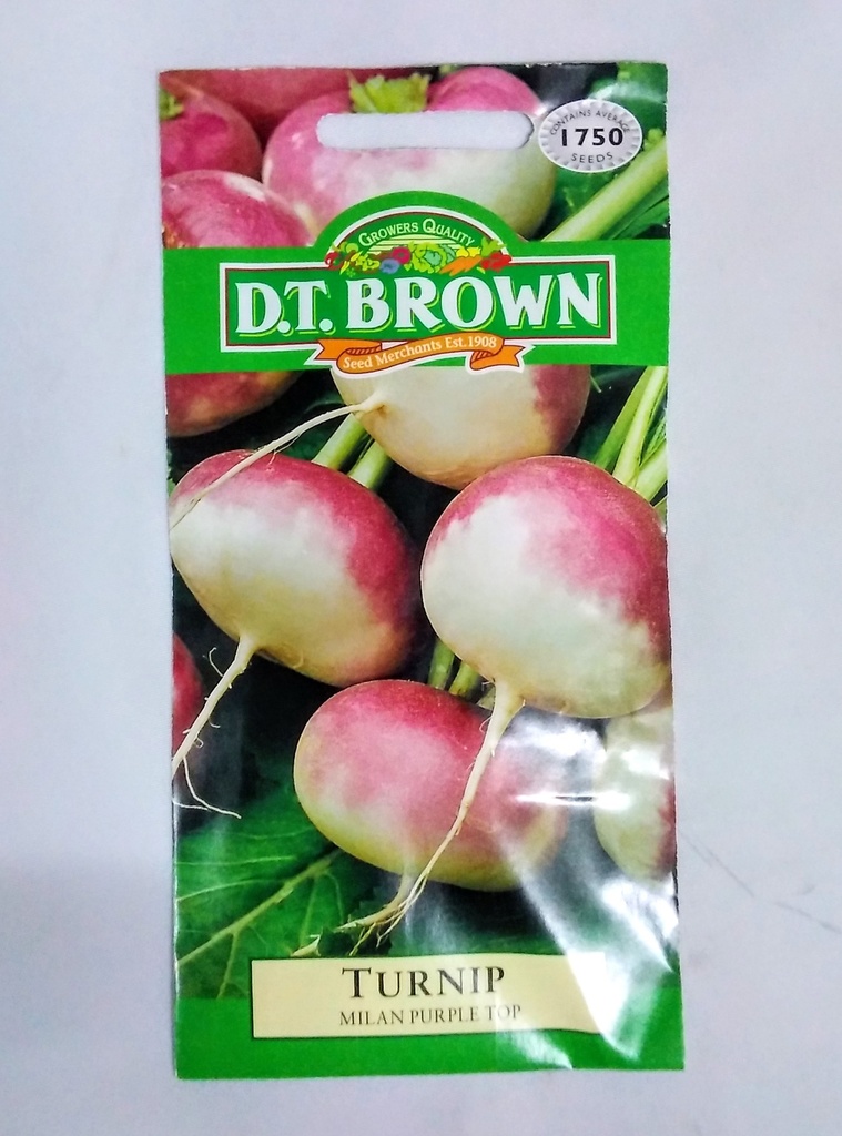 Seed Turnip Milan Purple Top 3.331g MFG2210