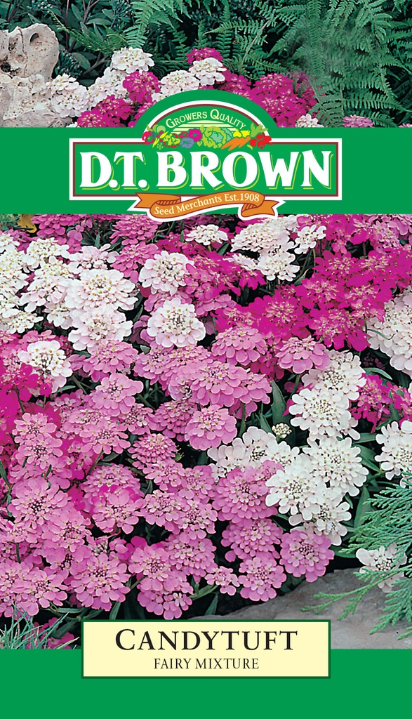 Seed Candytuft Fairy Mixure 0.719g MFG1507