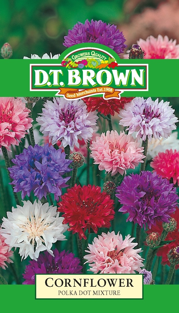 Seed Cornflower Polka Dot 2.102g MFG1508