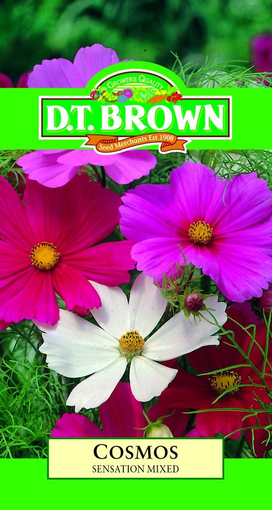 Seed Cosmos Sensation1.4g MFG498