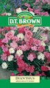 Seed Dianthus Spring Beauty 0.175g MFG155