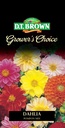 Seed Dahlia Pompon Mix 0.238g MFG2341