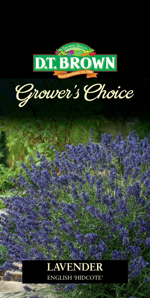 Seed Lavender English Hidcote 0.097g MFG2343