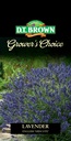 Seed Lavender English Hidcote 0.097g MFG2343