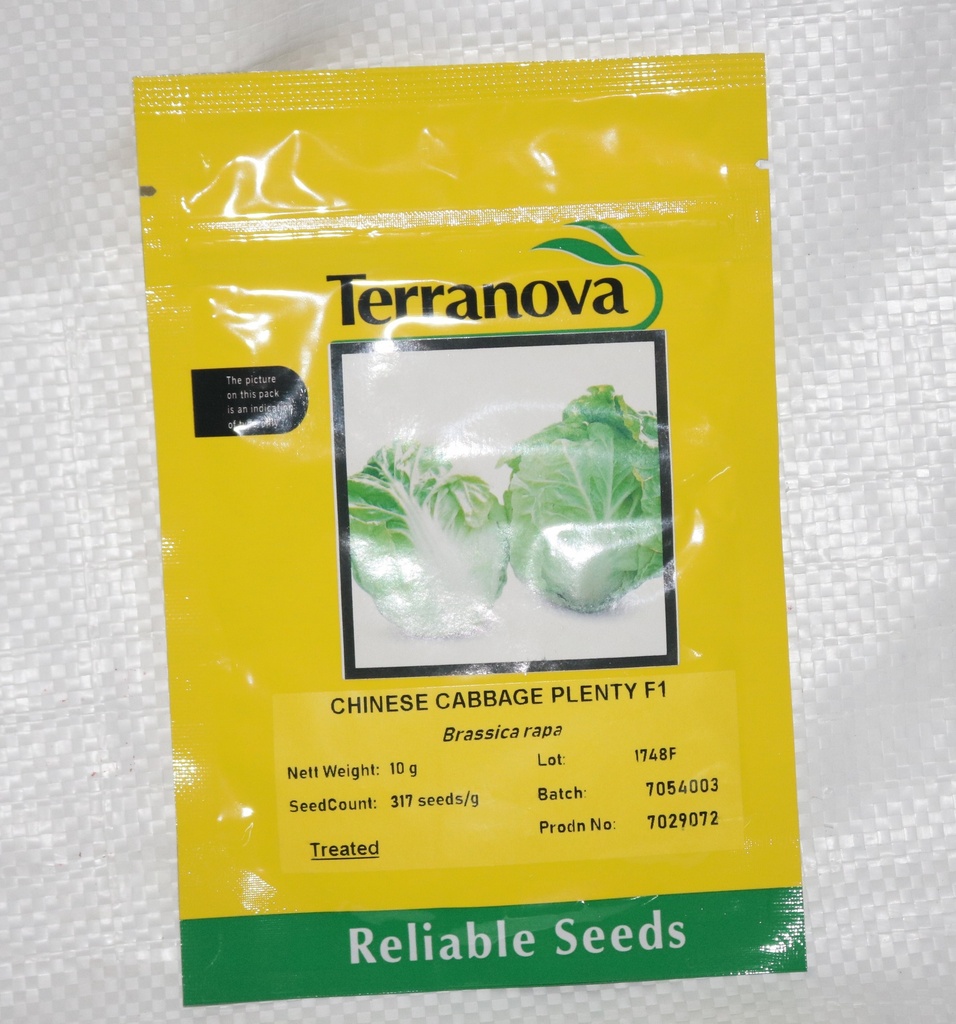 Seed Cabbage Chinese Plenty F1 10G Terranova