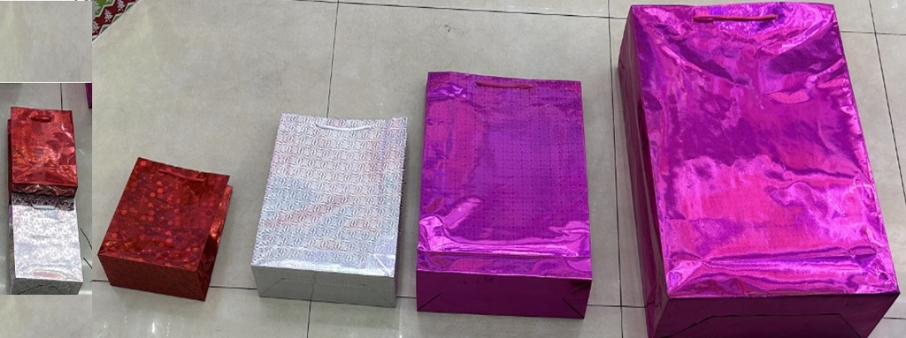 Gift Bag Glossy 45CM 10332-3