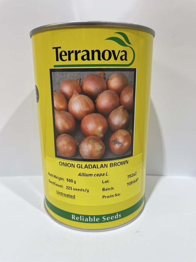 Seed Onion Gladalan Brwn 500g Terranova 