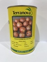 Seed Onion Gladalan Brwn 500g Terranova 
