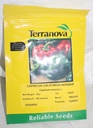 Seed Capsicum Carlifornia Wonder 25G Terranova