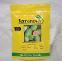 Seed Watermelon Charlestron 100g Terranova 