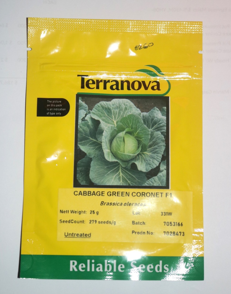 Seed Cabbage Green Coronet F1 25g Terranova 