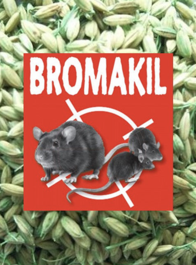 Bromakil Grain Bait 500Gm