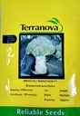 Seed Broccoli Marathon F1 2.5M 19g Terranova
