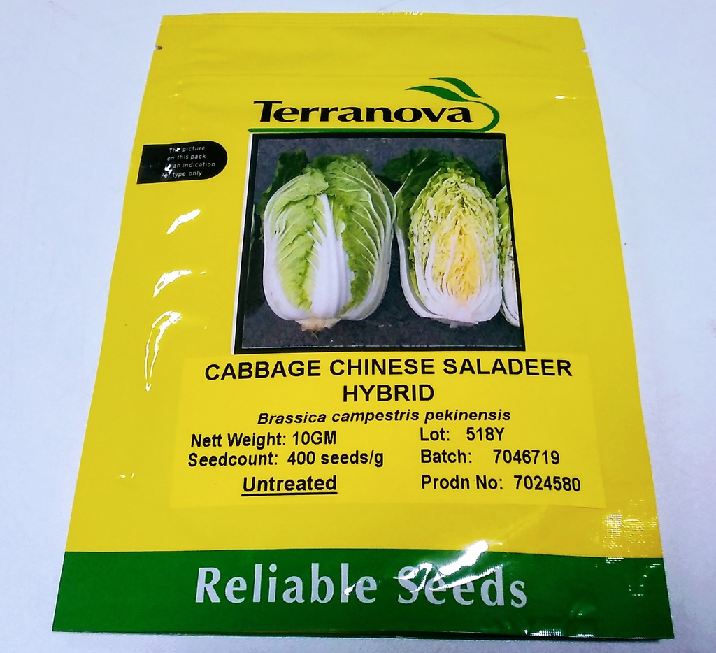Seed Cabbage Chinese Saladeer F1 10G Terranova