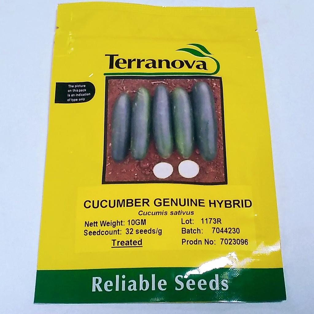 Seed Cucumber Genuine F1 10G Terranova