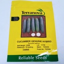 Seed Cucumber Genuine F1 10G Terranova