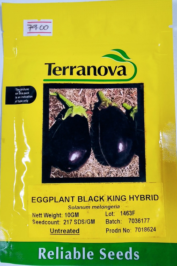 Seed Eggplant Black King F1 10G Terranova