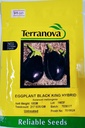 Seed Eggplant Black King F1 10G Terranova