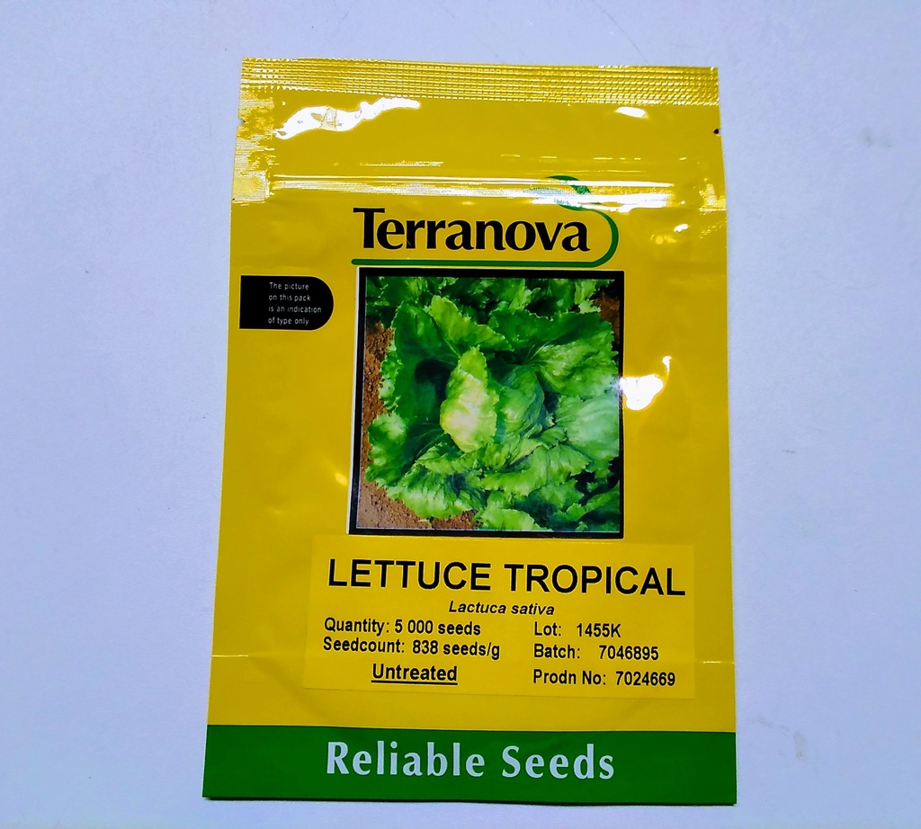 Seed Lettuce Tropical 5m 5000sds 6g Terranova